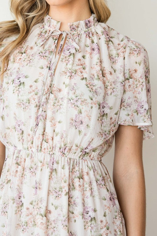 Plus Marisol Dress