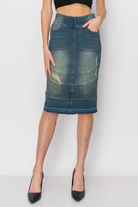 Dempsey Denim Skirt