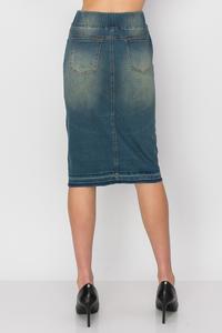 Dempsey Denim Skirt